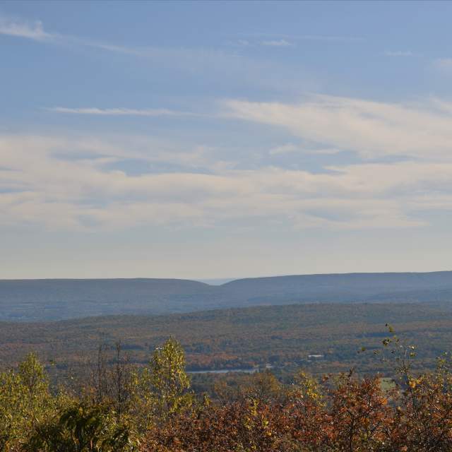 Pocono Views