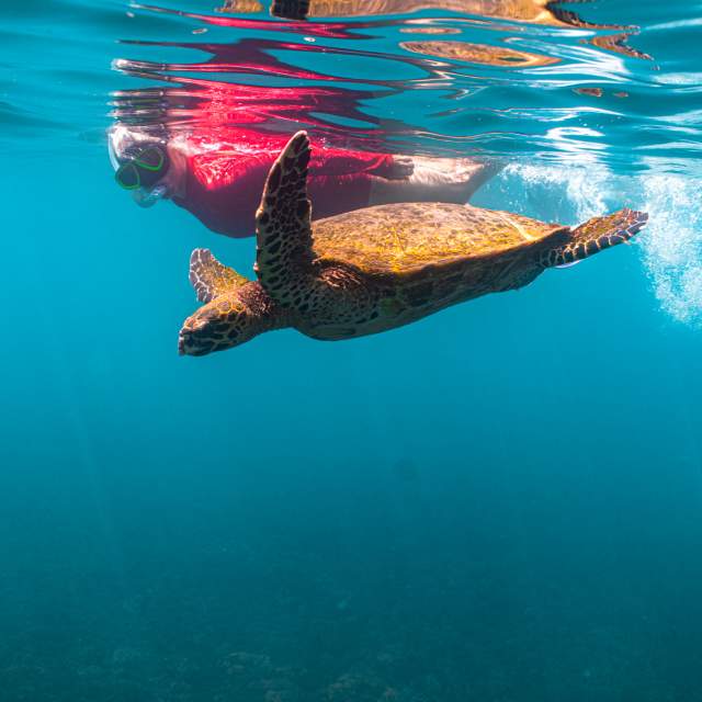 Coiba National Park, Gulf of Chiriquí, Panamá