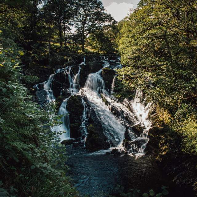 Swallow Falls image with sun shining through the surrounding trees
