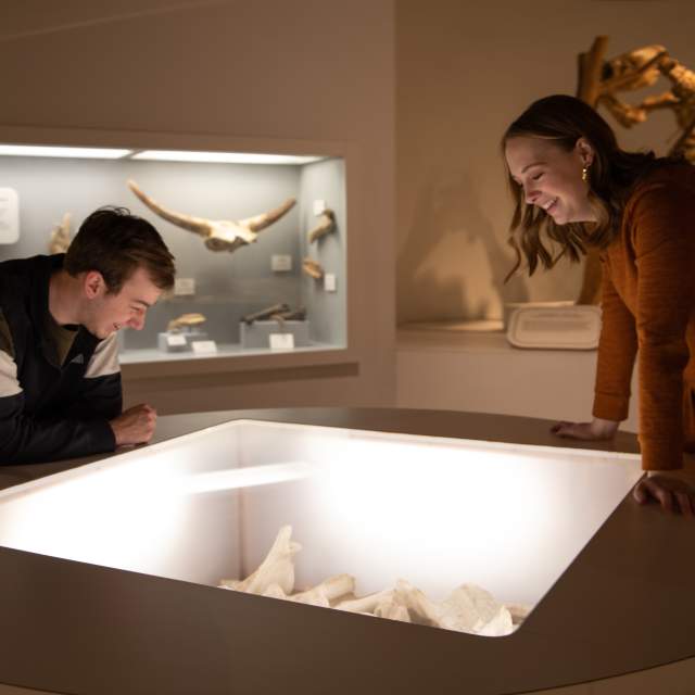 two people smiling at a museum exhibit