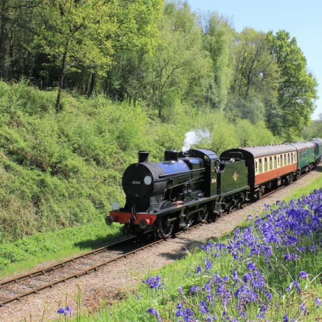 Bluebell railway steam train travelling past bluebell woods in Sussex