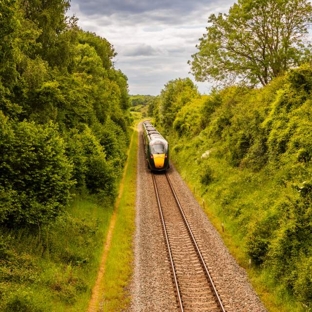 A train travels past trees in the Cotswolds