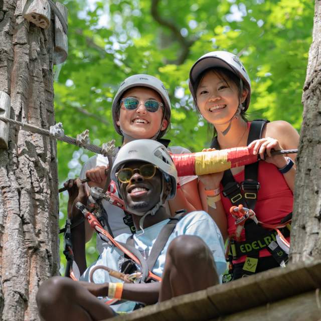 Group of young adults in the trees at an adventure park