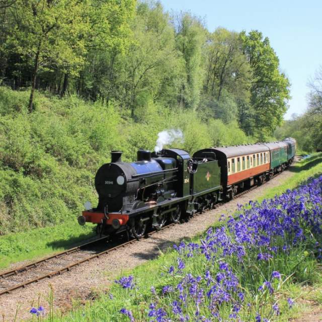Bluebell railway steam train travelling past bluebell woods in Sussex
