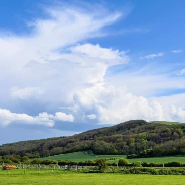 Bignor Farms Camping