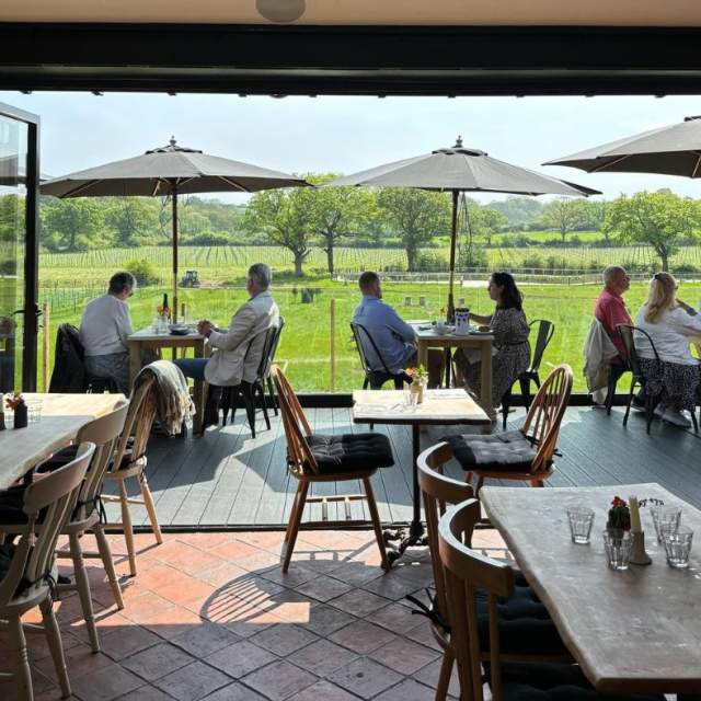 People sitting on a deck overlooking a vineyard