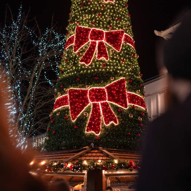 Southampton Christmas Market tree lit up at night with bright red bows