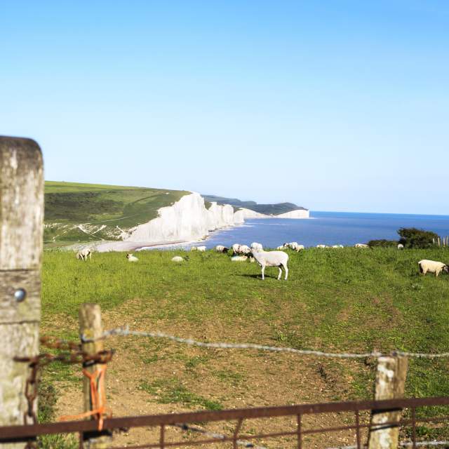 South downs national park image showing someone climbing over a stile with the white Seaford cliffs in the background