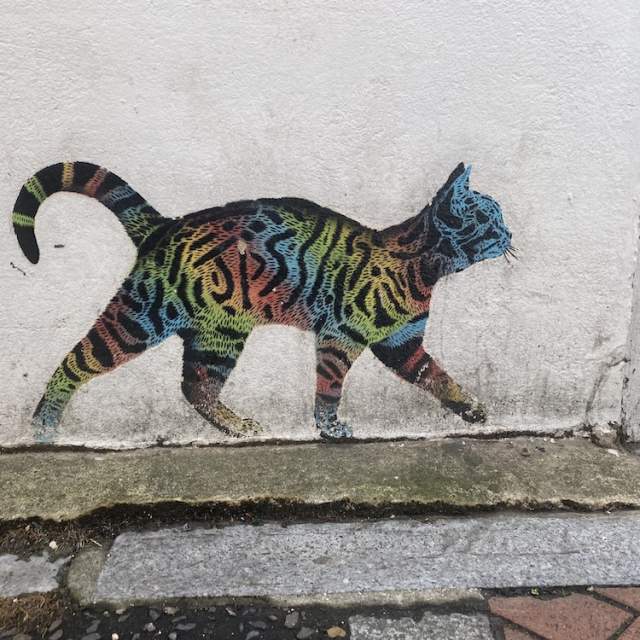 Multi-Coloured Cat Street Art, Chichester