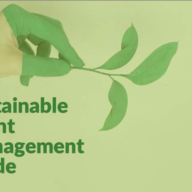 Sustainable Event Management Guide