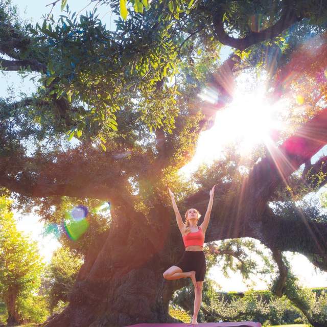 Yoga Under the Historic Sallier Oak