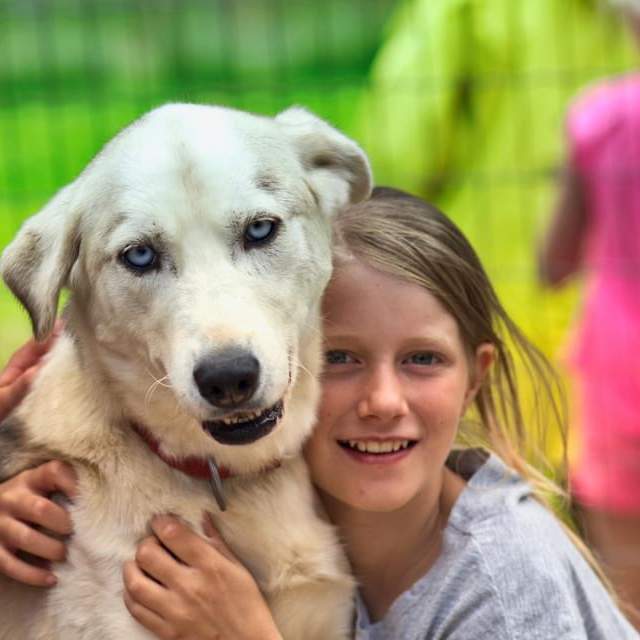 Barn og hund på Sirdal