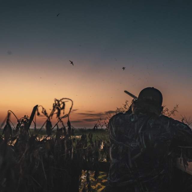 sunrise hunting trip with one hunter ready to aim in a blind