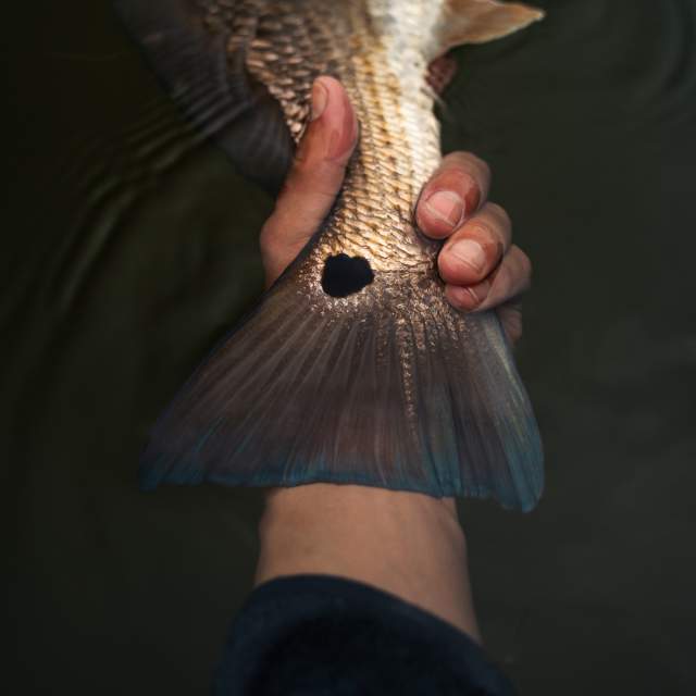 Fishing 4