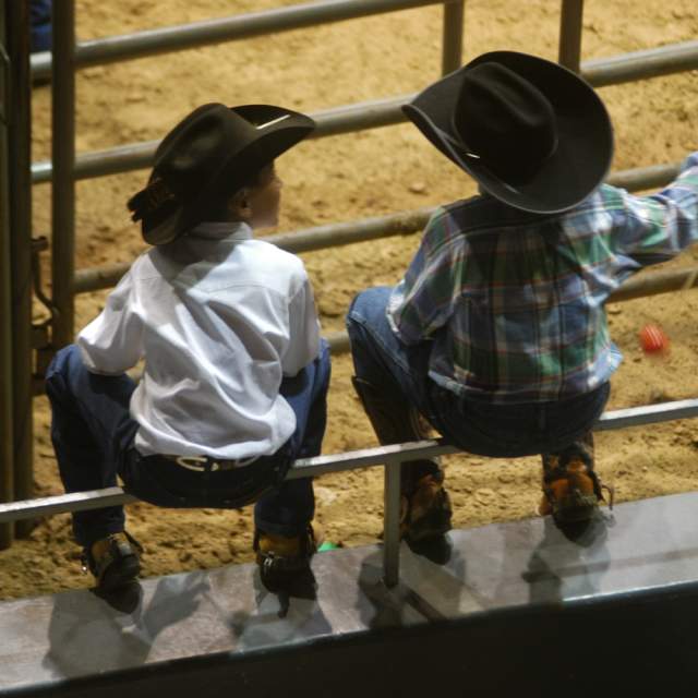 Little Cowboys Talking