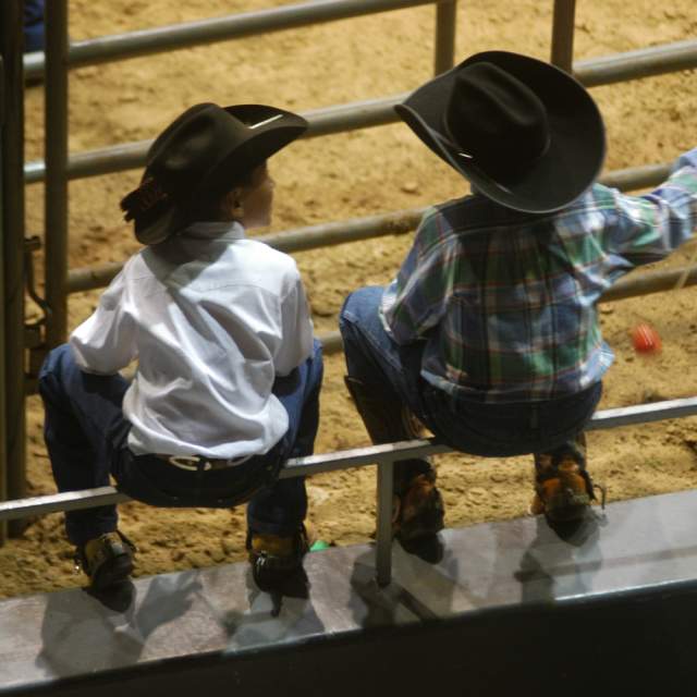 Little Cowboys Talking