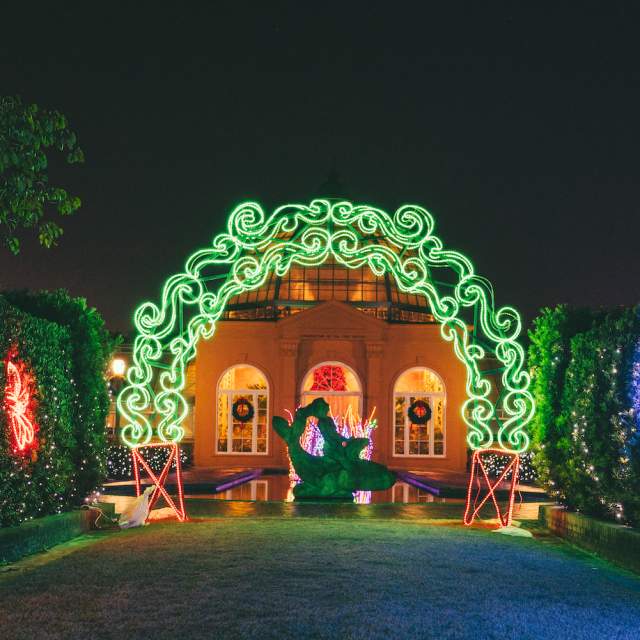 Celebration in the Oaks