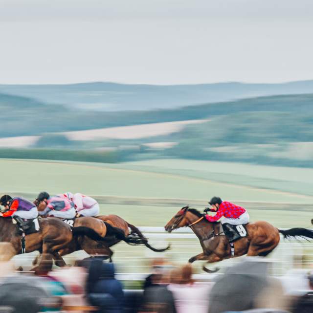 Horseracing at Goodwood