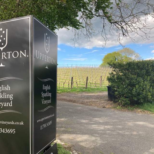 Upperton Vineyard