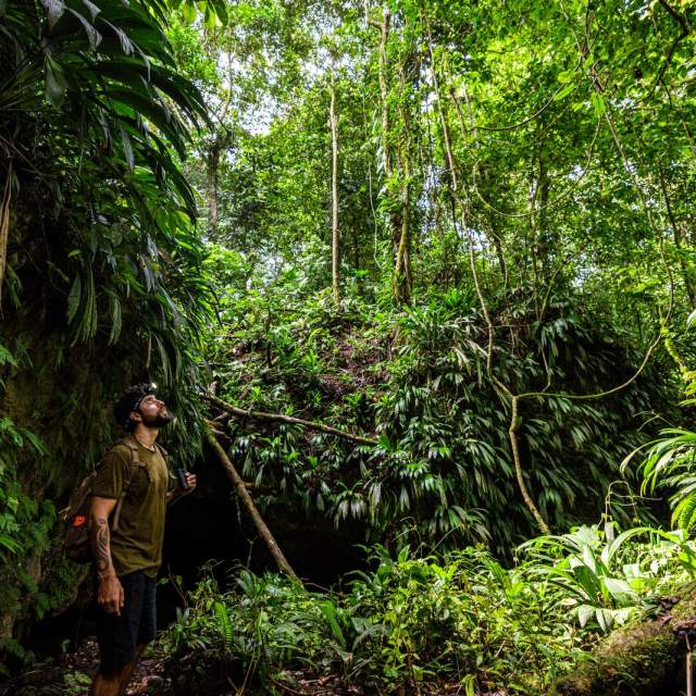 Hiker admiring the biodiversity of the tropical rainforest on Isla Bastimentos, Bocas del Toro.
