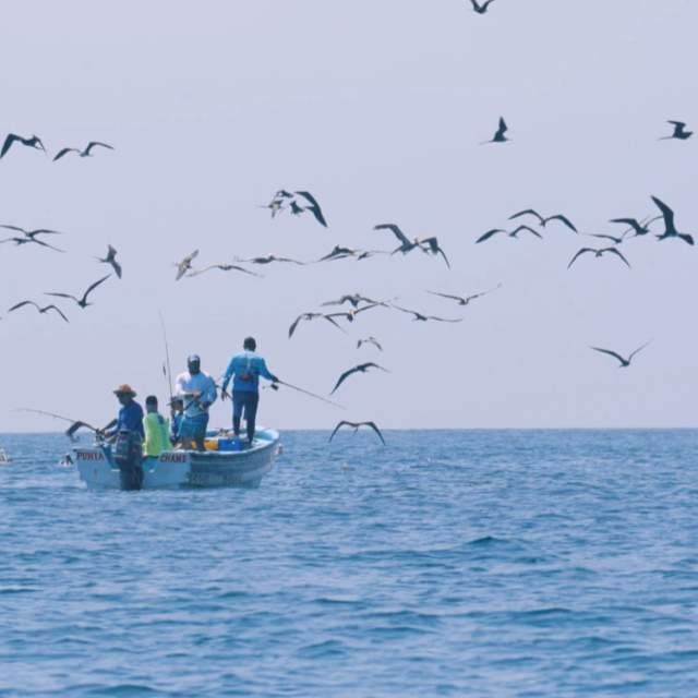 Group boat fishing at Estiva Island, with lots of birds in a sunny day