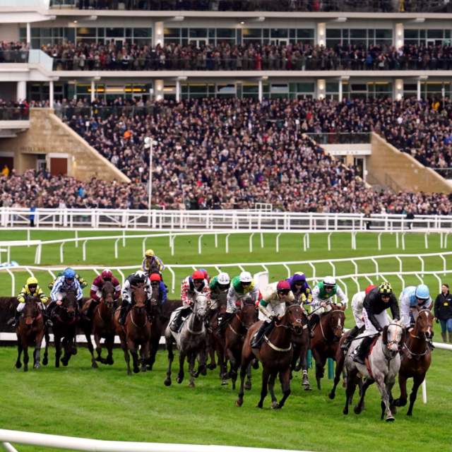 Horses racing at Cheltenham Racecourse