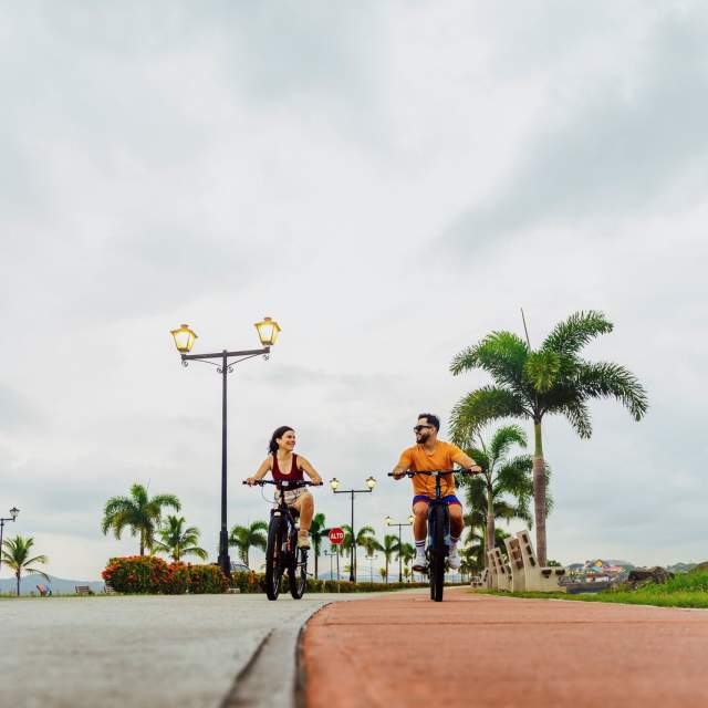 A couple rides bicycles on the Amador Causeway, Panamá City, with the palm-lined road visible, the sea on the side, on a sunny day.