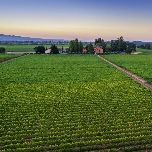 Trefethen Family Vineyards from above