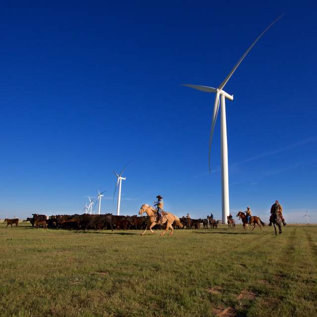 Cowboys on horseback herding cattle across an open grassy plain under a bright blue sky, with large white wind turbines towering in the background, blending traditional ranching with modern renewable energy.