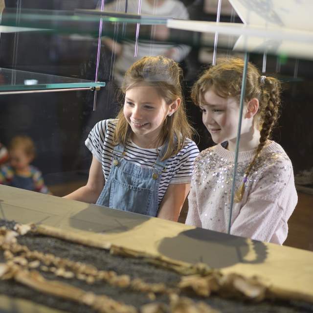 Children at The Novium Museum