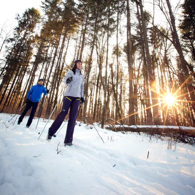 Cross Country Ski_vertical