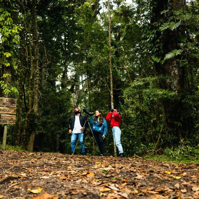 People exploring a trail in Boquete’s tropical forest with tourist signage