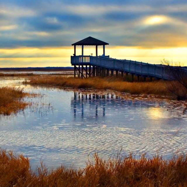 You Can Take A Deep Breath Marsh Photo