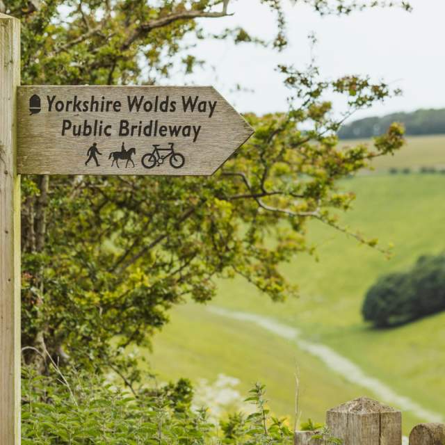 Yorkshire wolds way fingerposts pointing left and right with the green valley in the background.