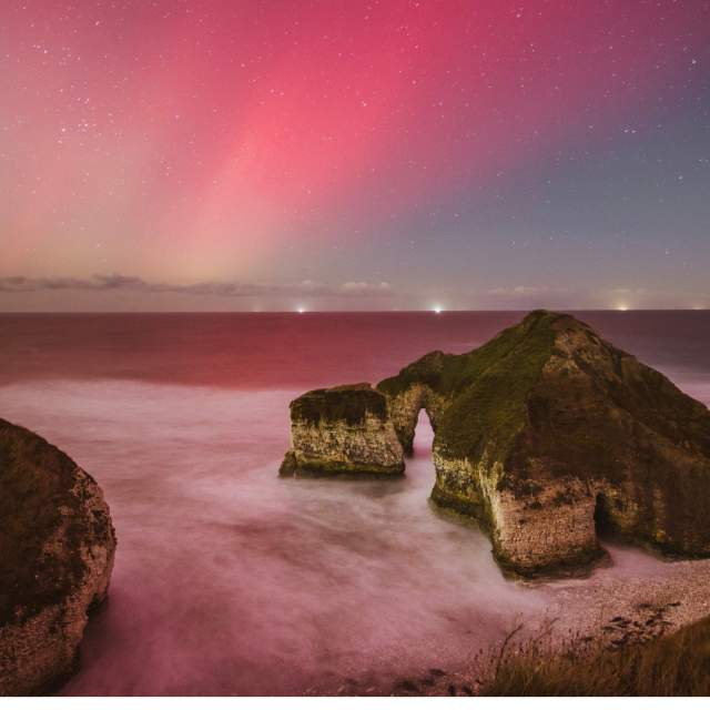 The pink and green Northern Lights filling the skies above the famous Drinking Dinosaur cliff stacks at Flamborough with the seals nestled in the bay for shelter.