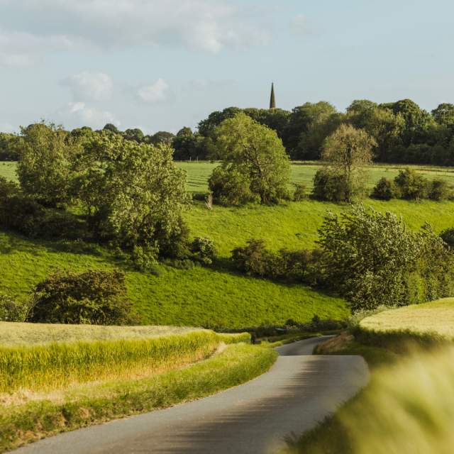 The green fields of the Yorkshire Wolds with Sir Tatton Skyes monument stood in the background.