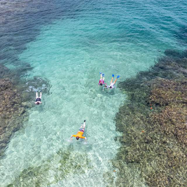 Aerial view of group of people snorkeling on a blue crystal Caribbean waters of Mamey Island