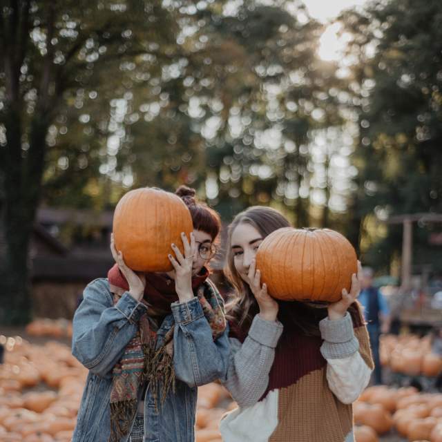 Two friends holding pumpkins over their faces at a pumpkin patch