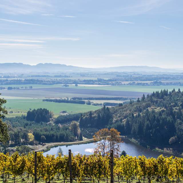 Willamette Valley Wineries Association photo