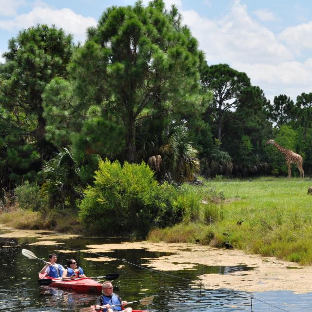 Brevard Zoo kayaking by wildlife