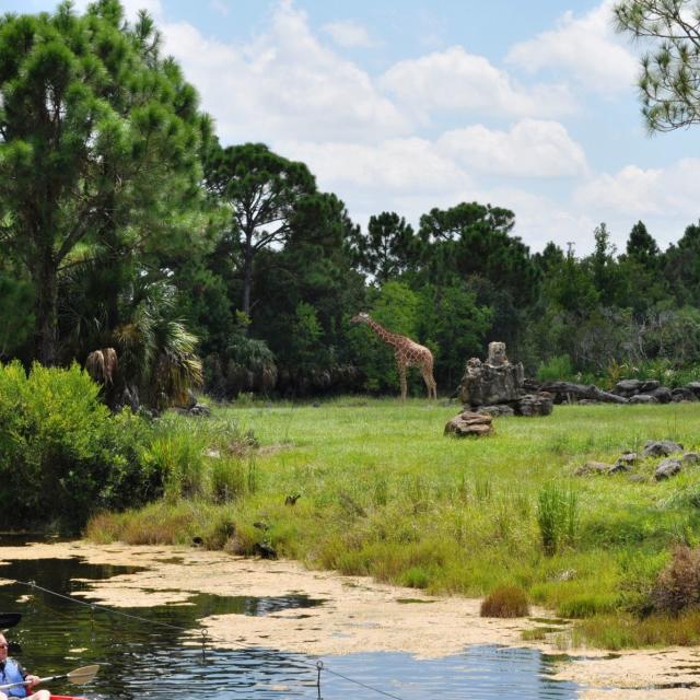 Brevard Zoo kayaking by wildlife