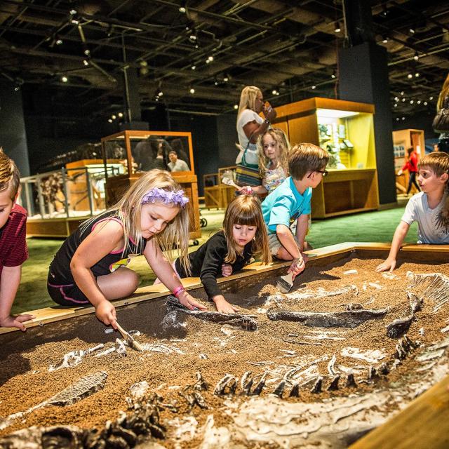 Orlando Science Center Kids at fossil dig