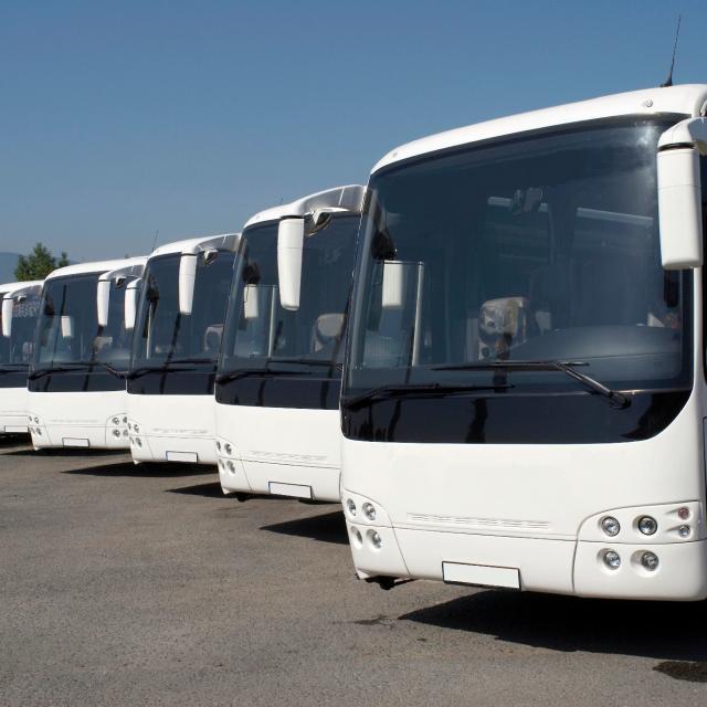 A line of buses