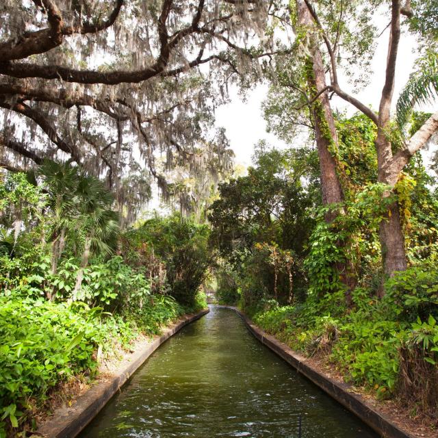 a canal along the Winter Park Scenic Boat Tour
