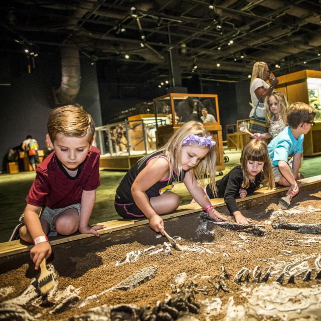 Orlando Science Center Kids at fossil dig