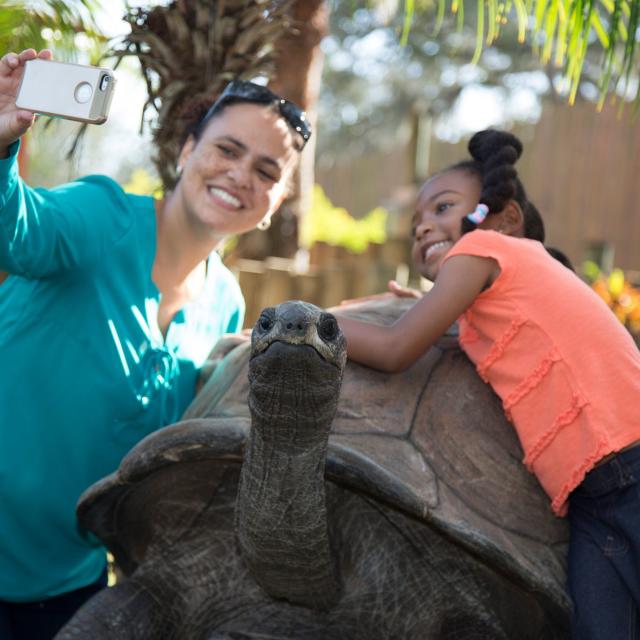 ZooTampa turtle selfie