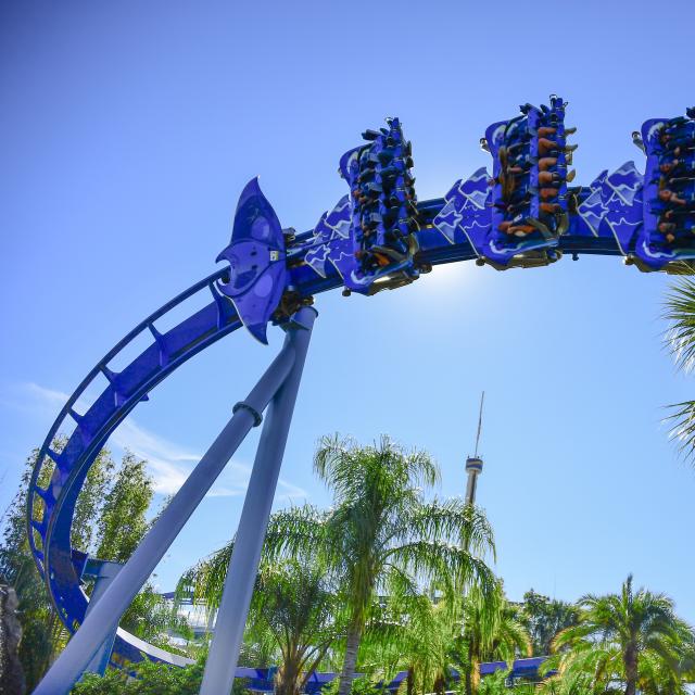 Ground view of the Manta roller coaster at SeaWorld Orlando