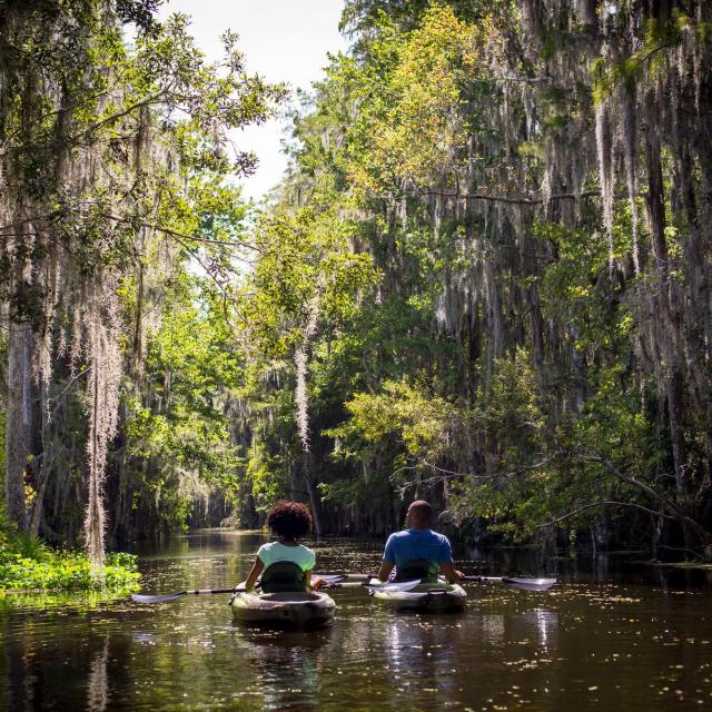 The Ritz-Carlton Orlando, Grande Lakes eco-tour by kayak