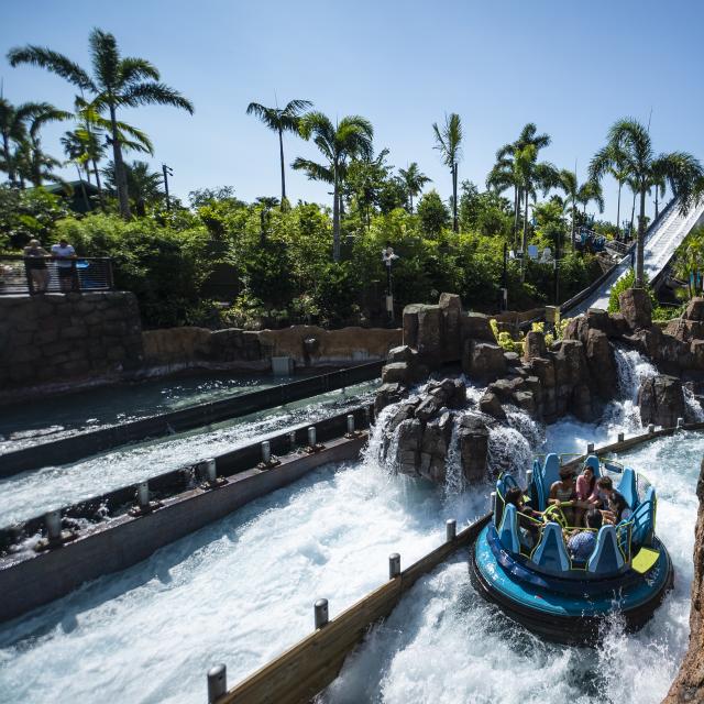 What to Expect From Infinity Falls at SeaWorld® Orlando