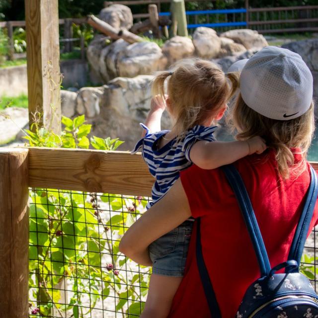 Guests watch a rhino at the Central Florida Zoo & Botanical Gardens